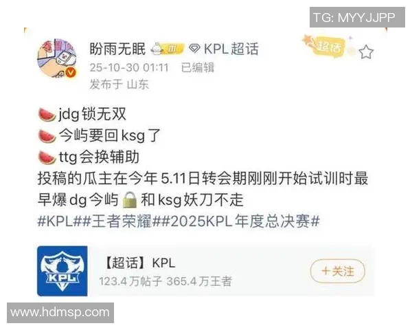 深入分析JDG战队快攻策略在王者荣耀中的应用与成效